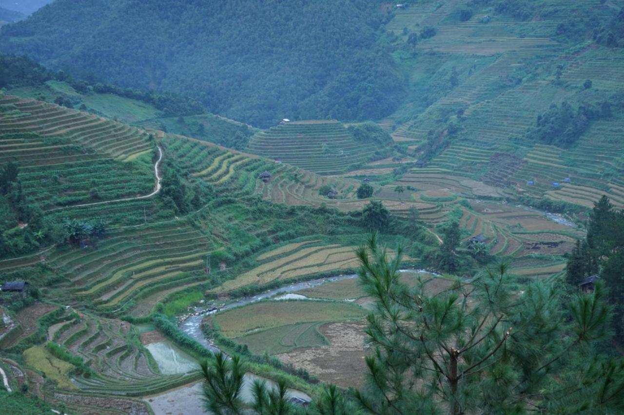 Hello Mu Cang Chai Homestay & Tours Zewnętrze zdjęcie