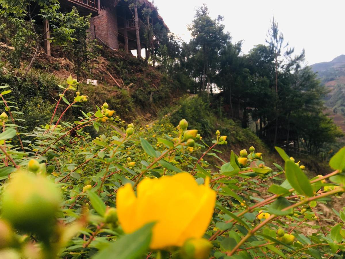 Hello Mu Cang Chai Homestay & Tours Zewnętrze zdjęcie