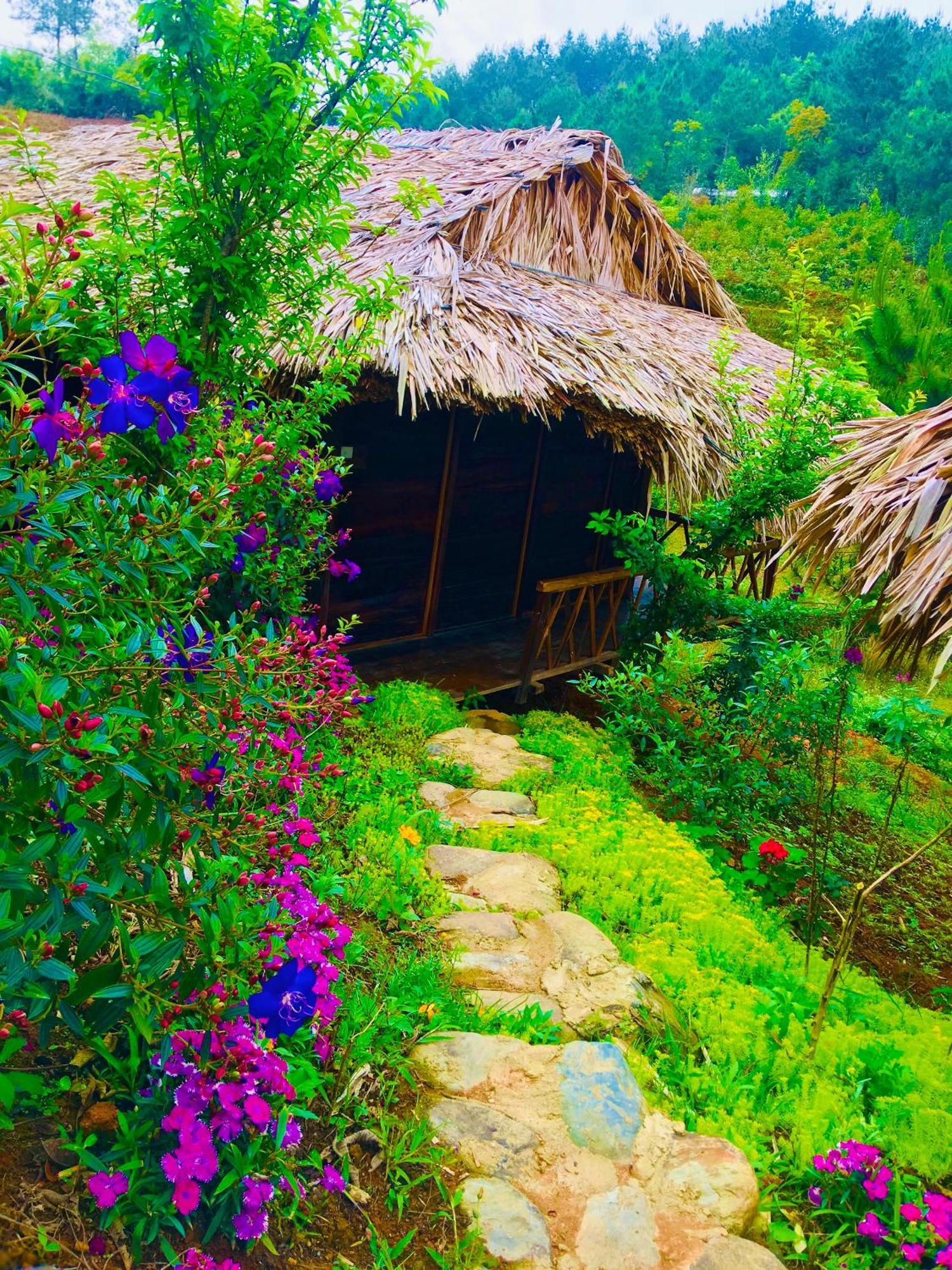 Hello Mu Cang Chai Homestay & Tours Zewnętrze zdjęcie