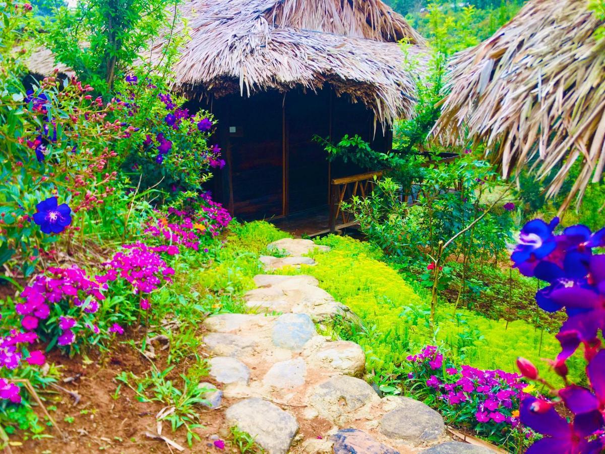 Hello Mu Cang Chai Homestay & Tours Zewnętrze zdjęcie