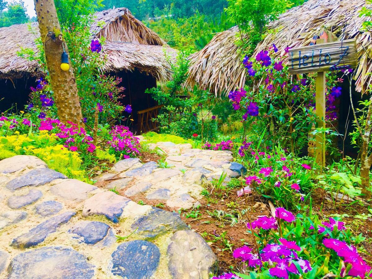 Hello Mu Cang Chai Homestay & Tours Zewnętrze zdjęcie