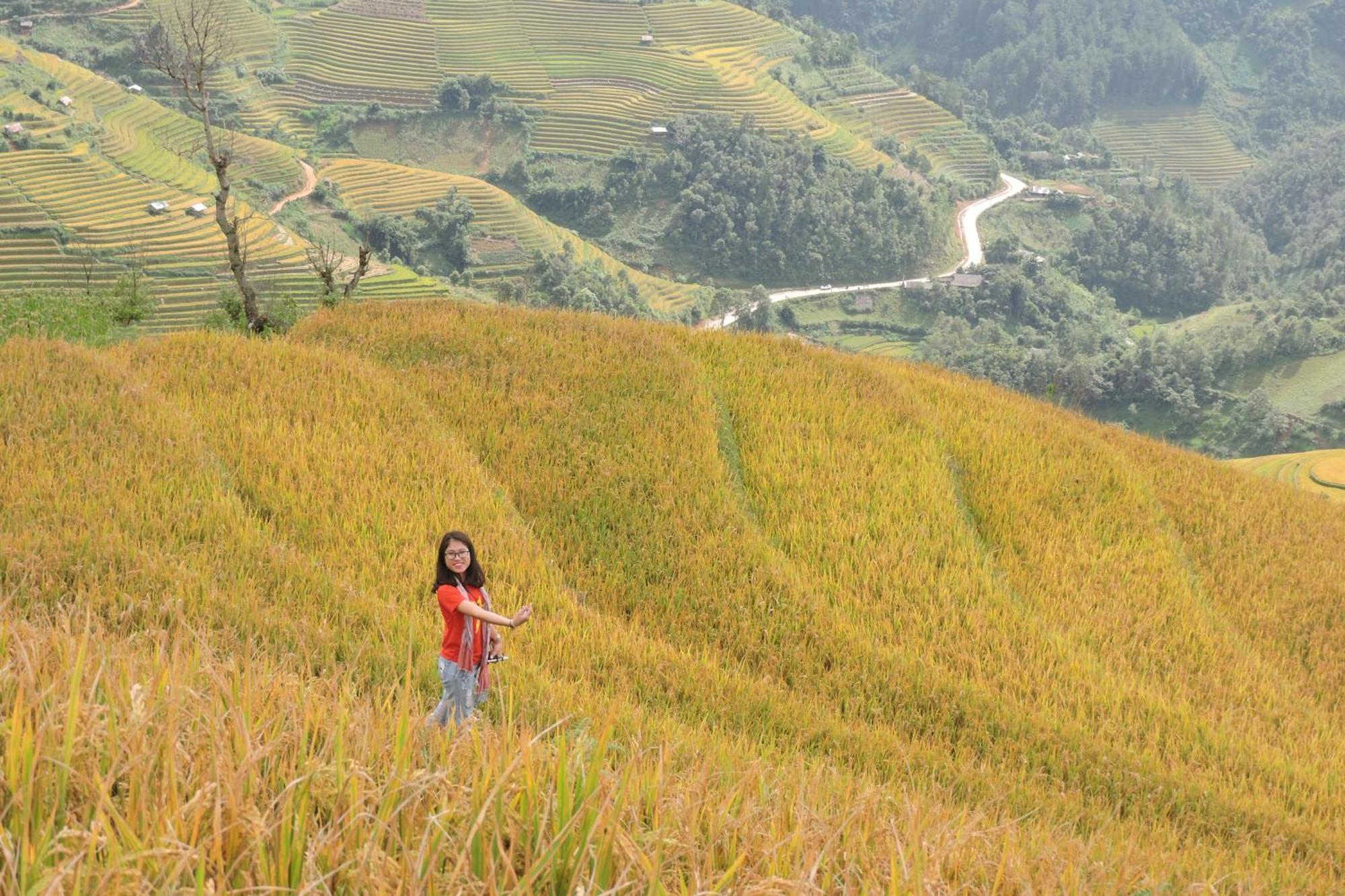 Hello Mu Cang Chai Homestay & Tours Pokój zdjęcie