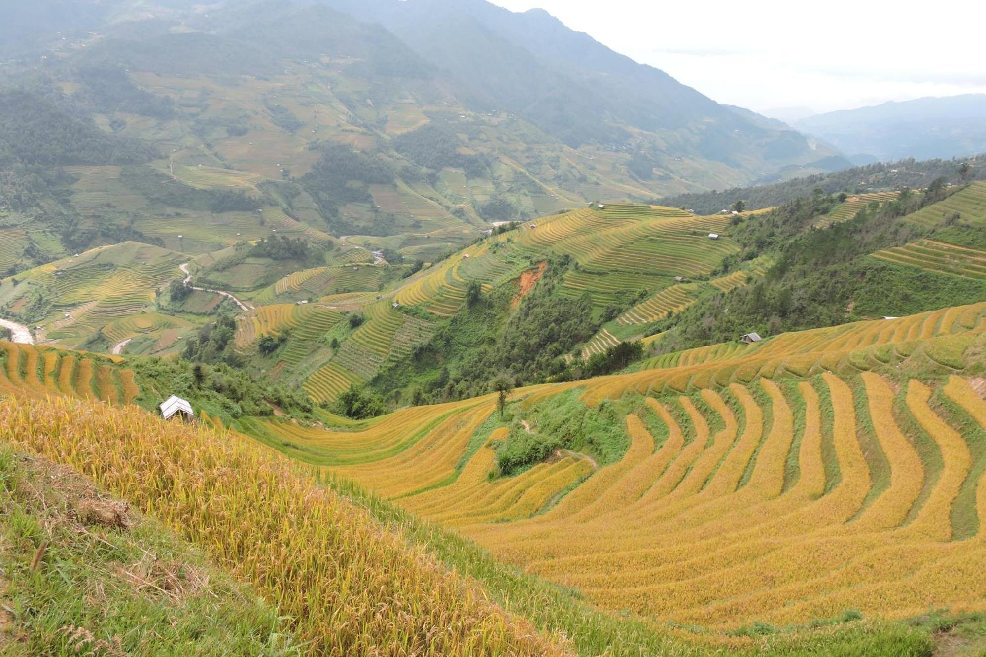 Hello Mu Cang Chai Homestay & Tours Pokój zdjęcie