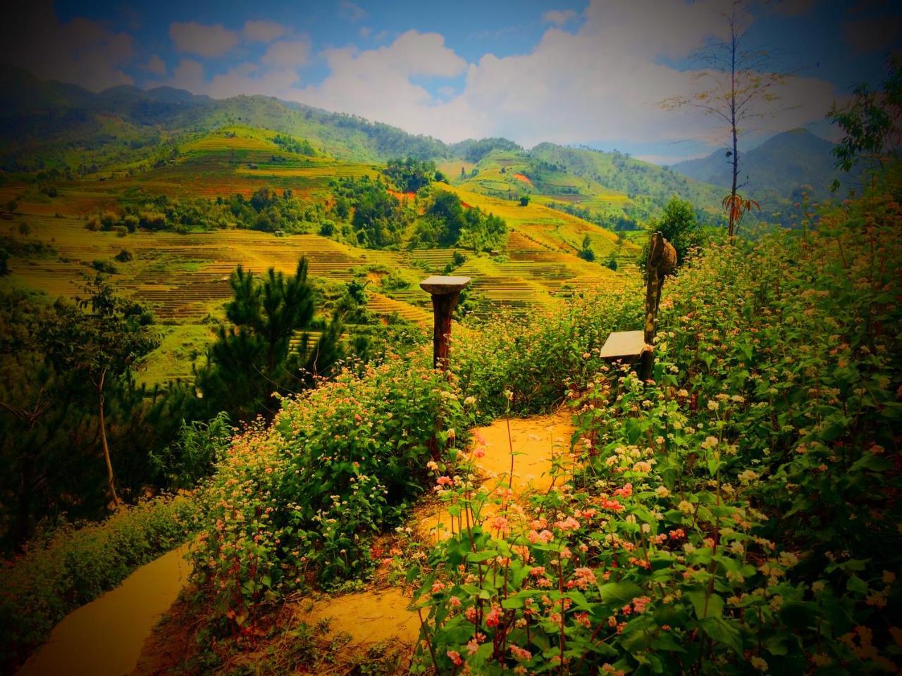 Hello Mu Cang Chai Homestay & Tours Zewnętrze zdjęcie