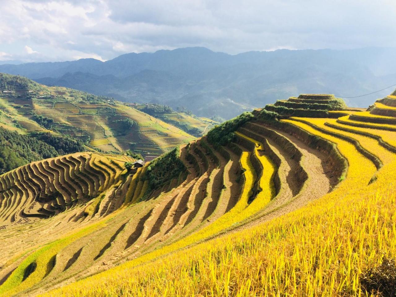 Hello Mu Cang Chai Homestay & Tours Zewnętrze zdjęcie