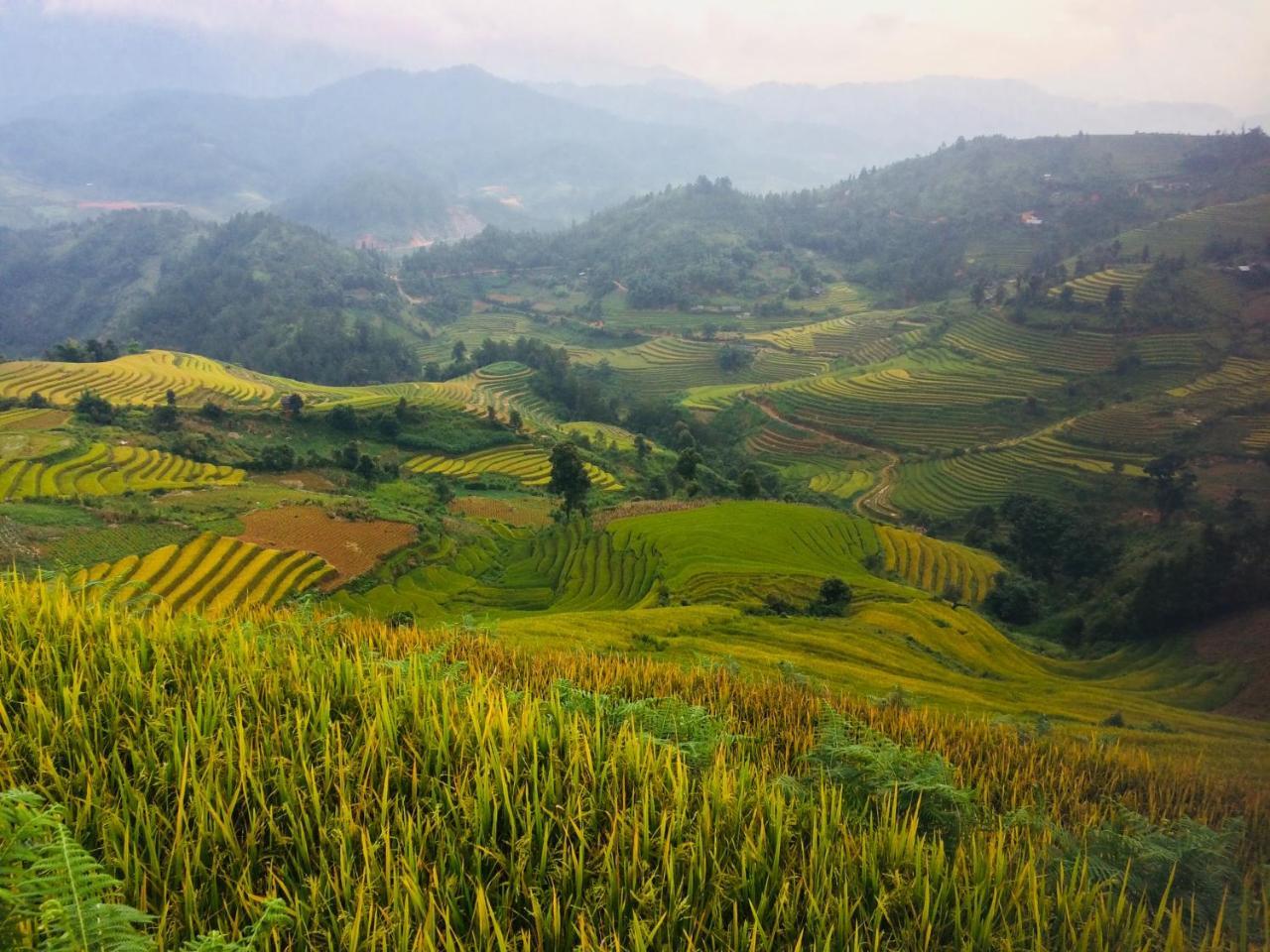 Hello Mu Cang Chai Homestay & Tours Zewnętrze zdjęcie